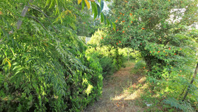Green Hill Village