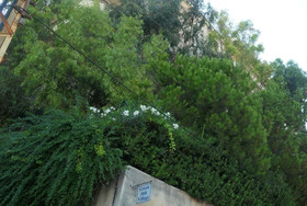 Green Hill Village