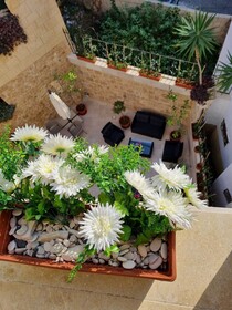 Sole Del Mina Boutique Hotel