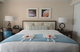 BodyHoliday