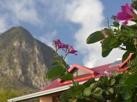 Tet Rouge Resort