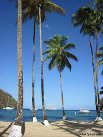 Oasis Marigot