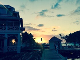 Treetops Apartments