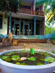 Green Kingdom Resort