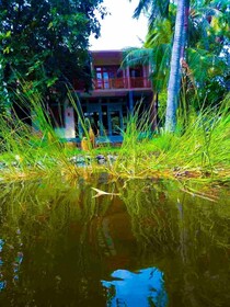 Green Kingdom Resort
