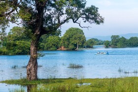 The Lake House