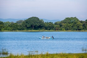 The Lake House