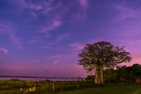 The Lake House