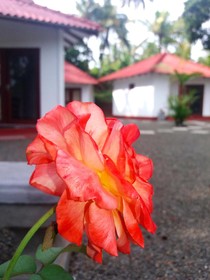 Lagoon Resort Goviyapana