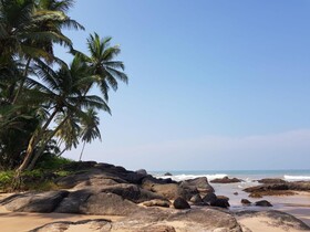 Bobo's Bed & Breakfast