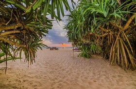 Jungle Beach Camp Ahungalla