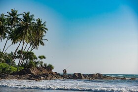 Jungle Beach Camp Ahungalla