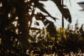 Villa Republic Bentota