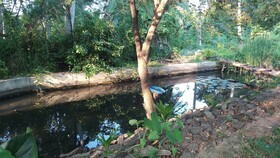 Ruwinsons Canal Garden