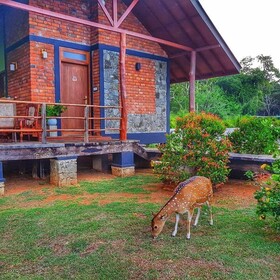 Saji-Sami Hotel