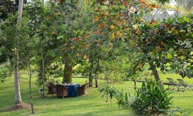 Maya Tangalle