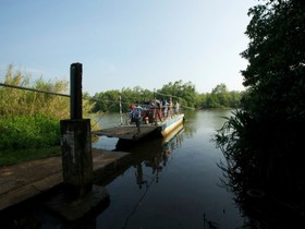 Mangrove Escapes