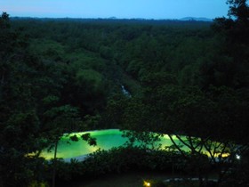 Mangrove Escapes