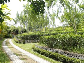 Lake Escapes Health Care Sri Lanka