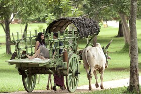 Amaya Lake Hotelresort