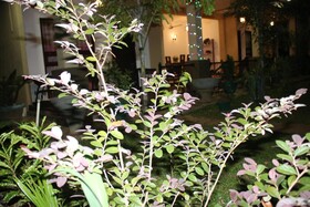 Bed & Bicycle Hostel Dambulla