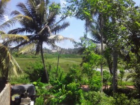 Hendy Bungalow