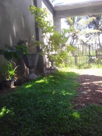 Hendy Bungalow