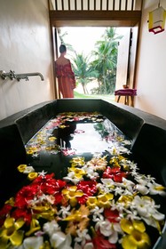UTMT-Underneath The Mango Tree Hotel