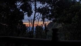 Ella Nature Nest
