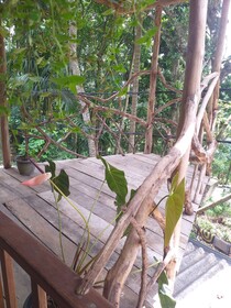 Ella Nature Nest
