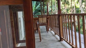 Ella Nature Nest