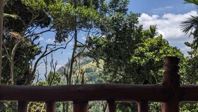 Ella Nature Nest