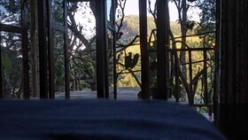 Ella Nature Nest
