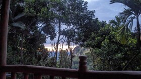 Ella Nature Nest