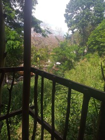 Ella Nature Nest