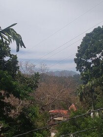 Ella Nature Nest