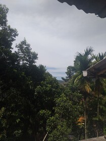 Ella Nature Nest