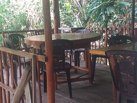 Ella Nature Nest