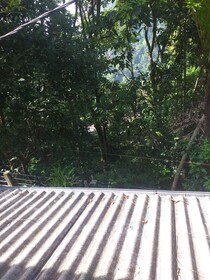 Ella Nature Nest