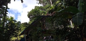 Ella Nature Nest