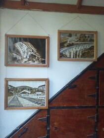 Ella Nature Nest