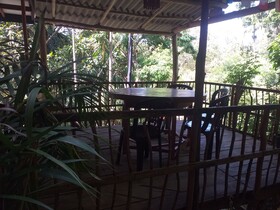 Ella Nature Nest
