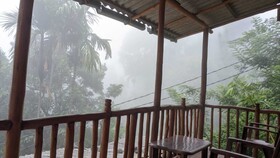 Ella Nature Nest