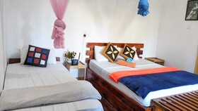 Ella Nature Nest