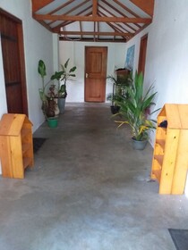 Ella Nature Nest