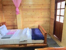 Ella Nature Nest