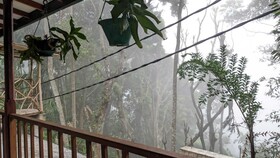 Ella Nature Nest