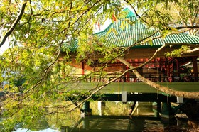 Wet Water Resort