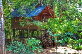 Book Jungle