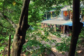 Book Jungle